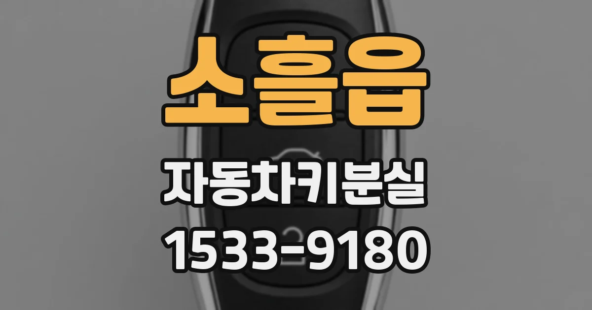 소흘읍 자동차키분실