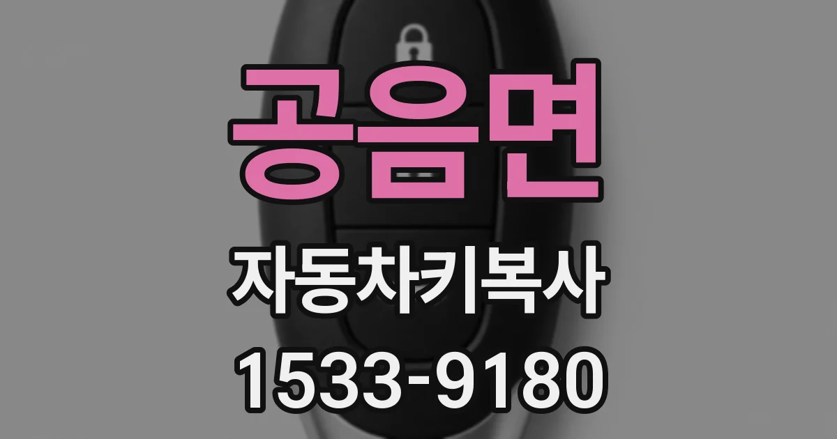 공음면 자동차키복사