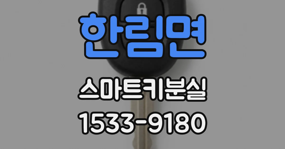 한림면 스마트키분실