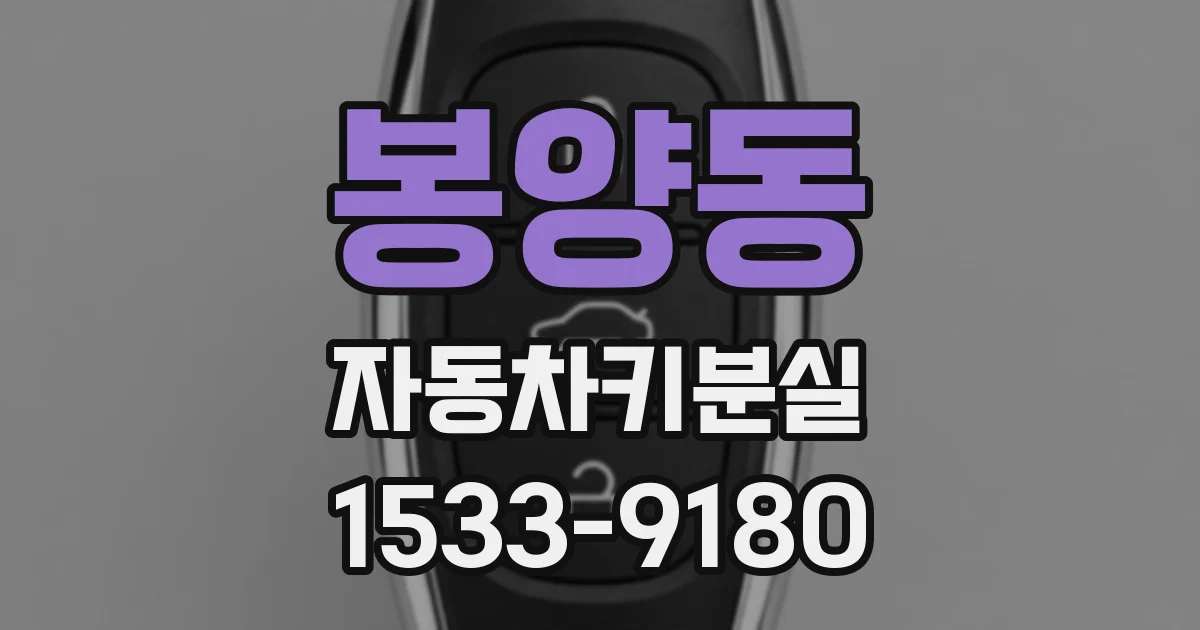 봉양동 자동차키분실