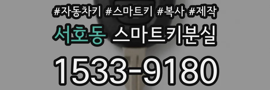 서호동 스마트키분실