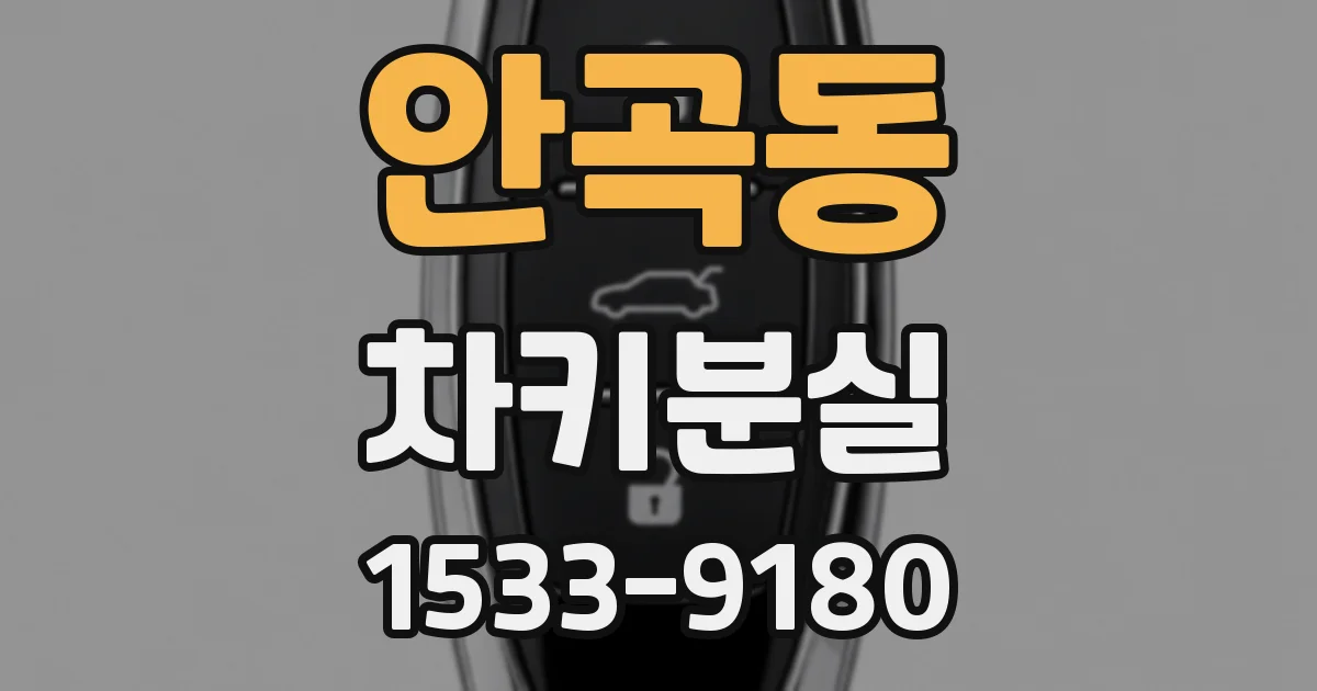 안곡동 차키분실
