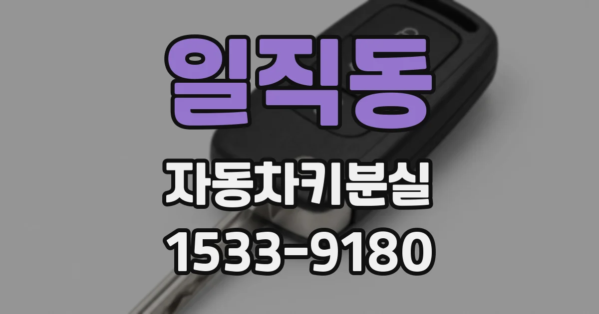 일직동 자동차키분실