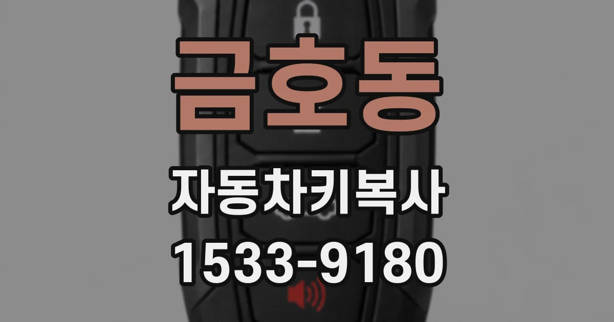 금호동 자동차키복사
