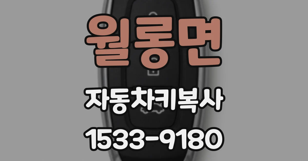 월롱면 자동차키복사