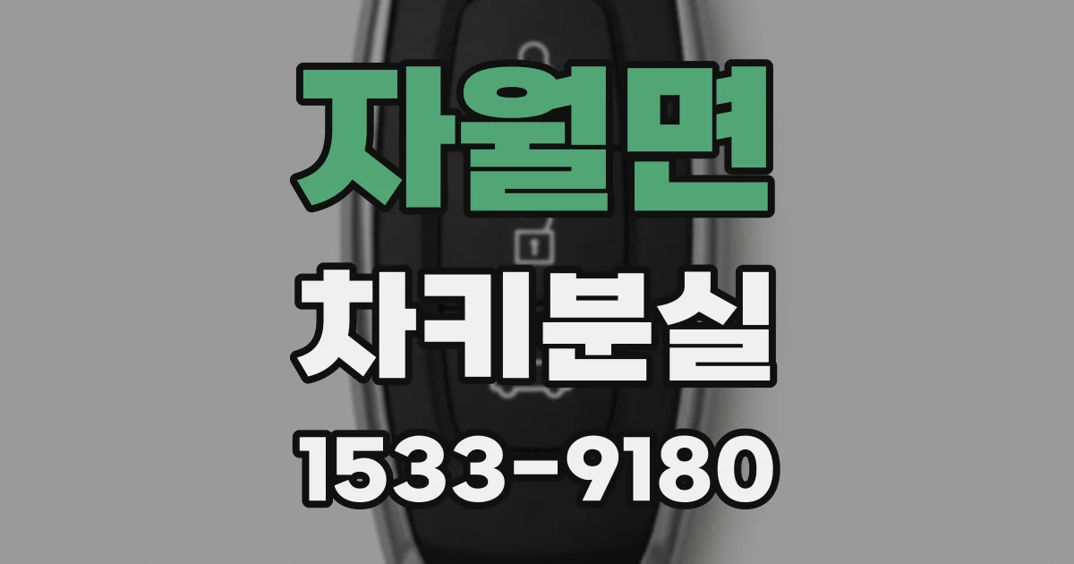 자월면 차키분실