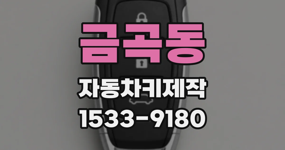금곡동 자동차키제작