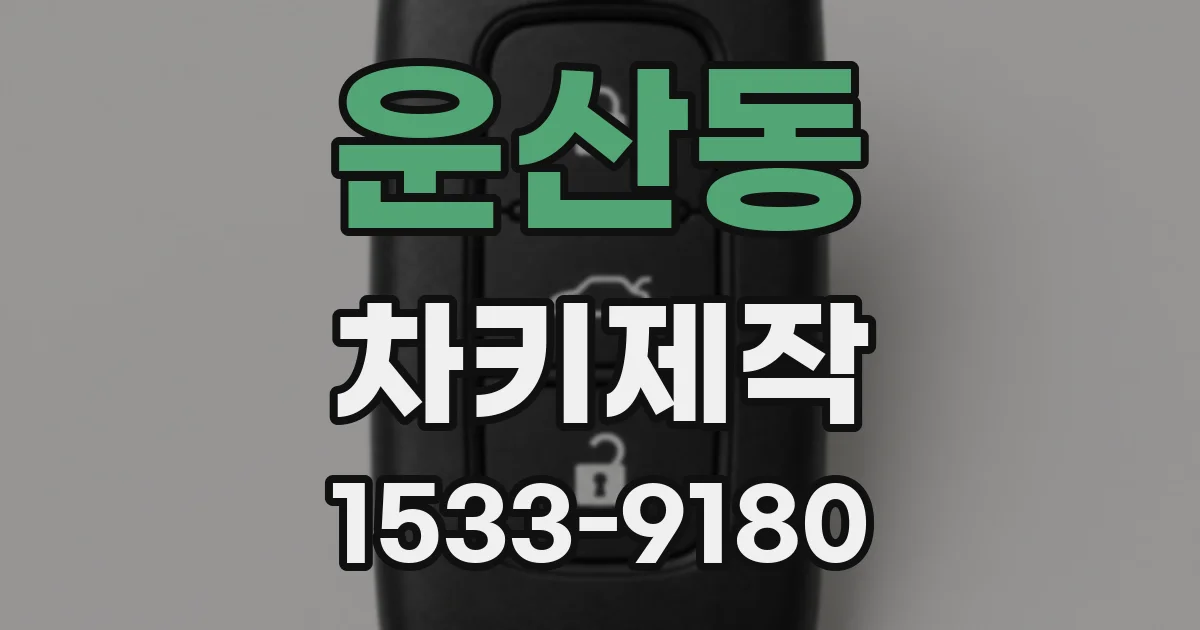 운산동 차키제작