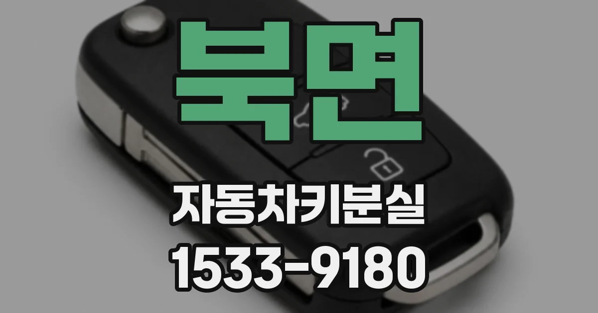 북면 자동차키분실