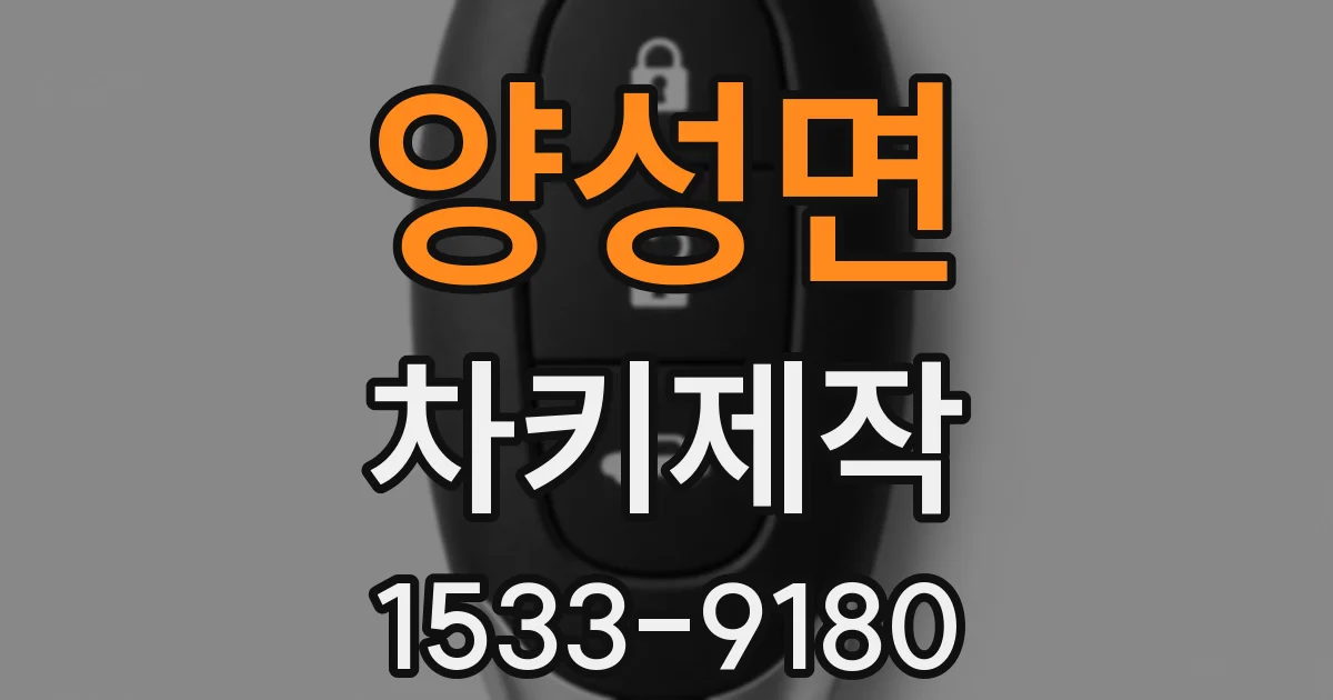 양성면 차키제작