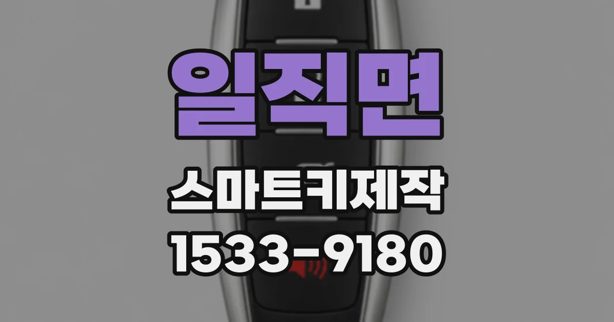 일직면 스마트키제작
