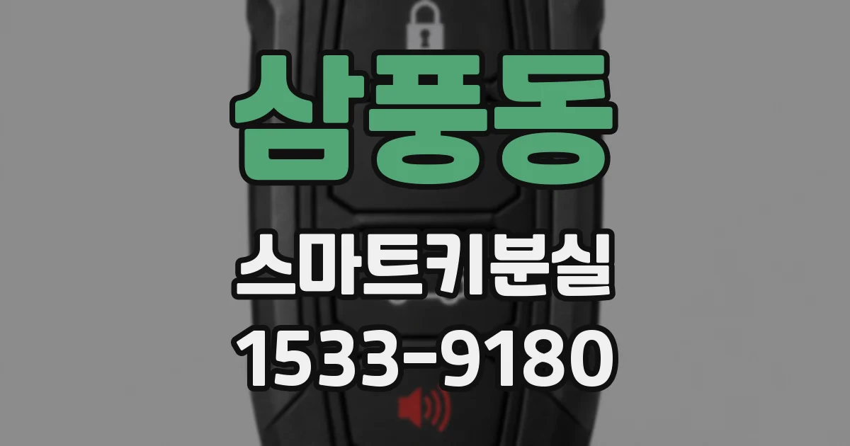 삼풍동 스마트키분실