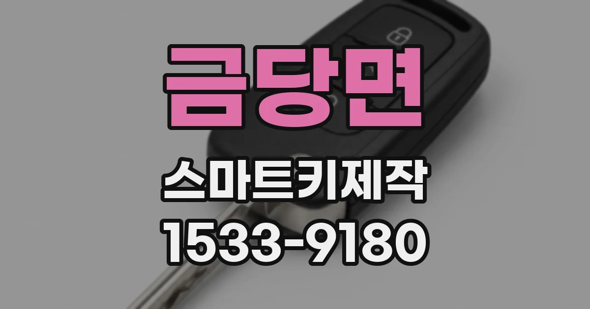 금당면 스마트키제작