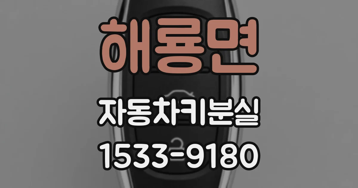 해룡면 자동차키분실