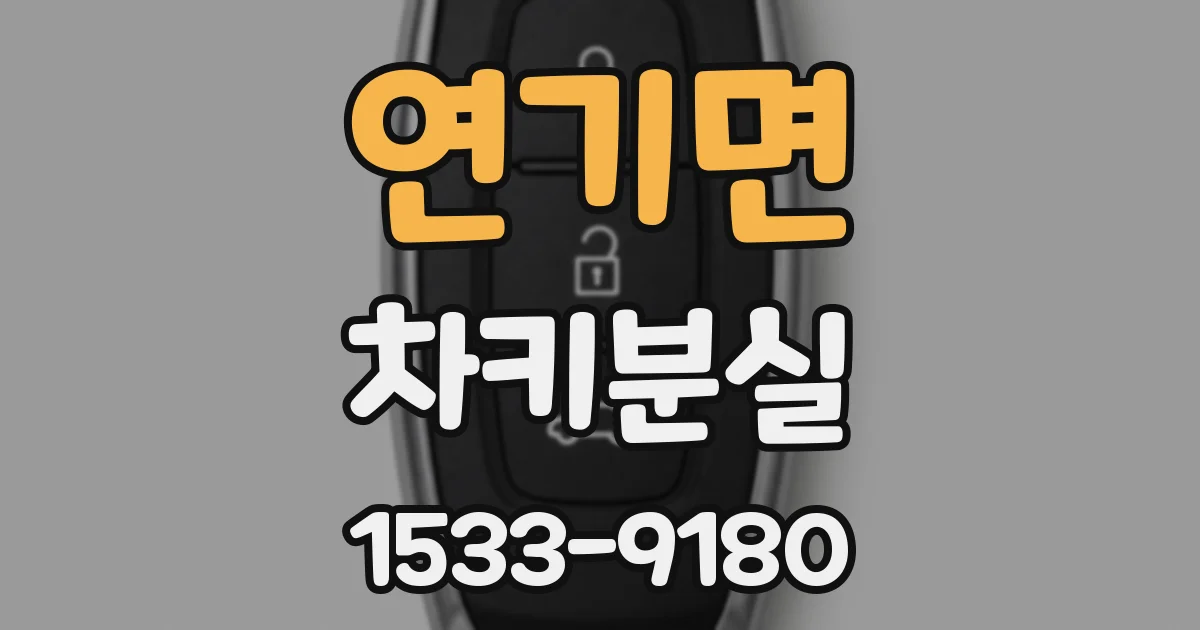 연기면 차키분실