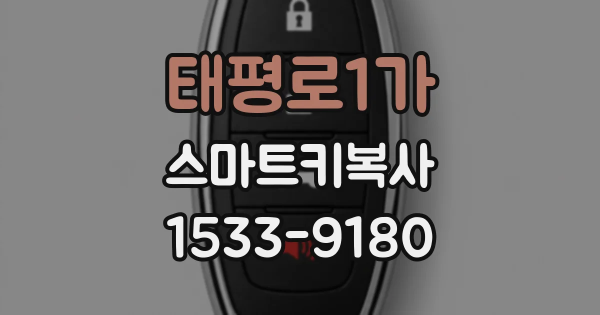 태평로1가 스마트키복사