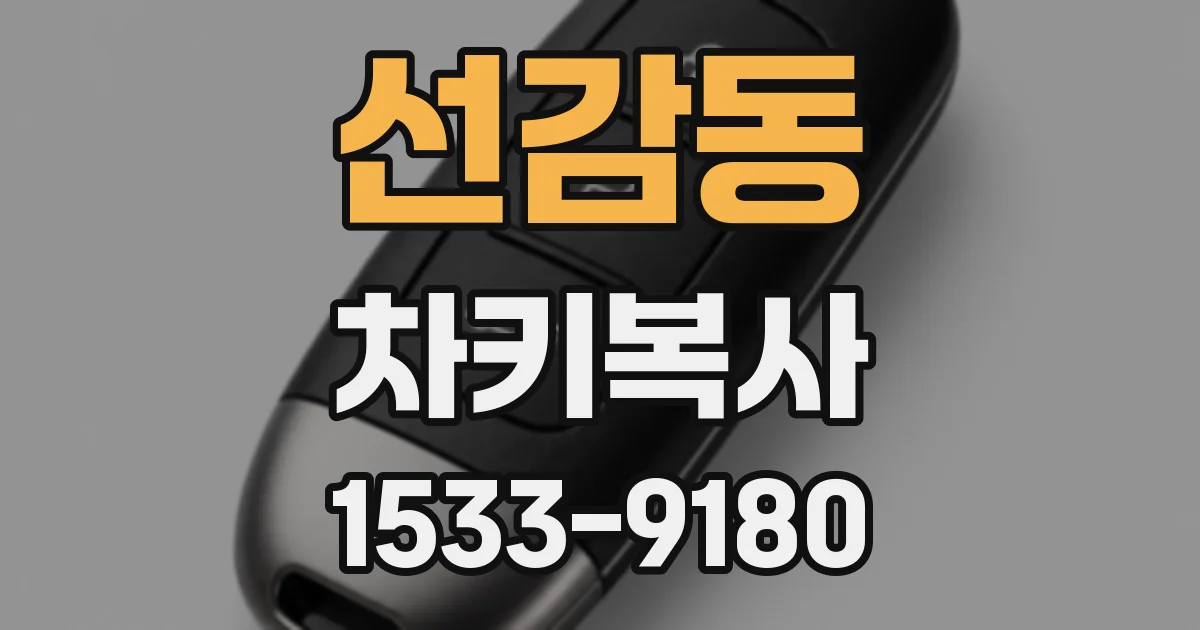 선감동 차키복사