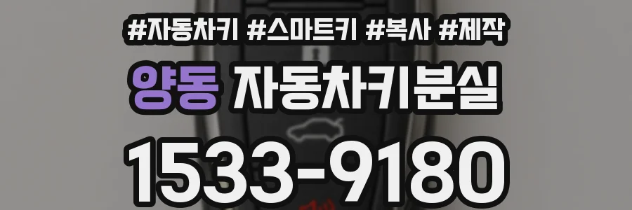 양동 자동차키분실