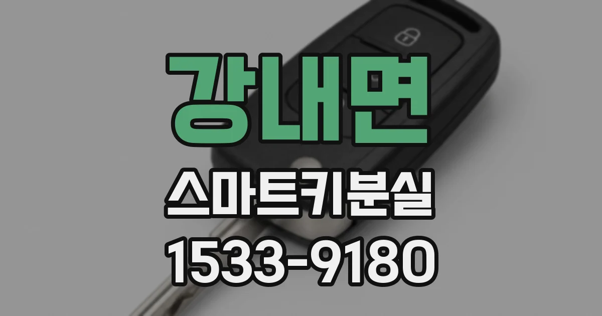 강내면 스마트키분실