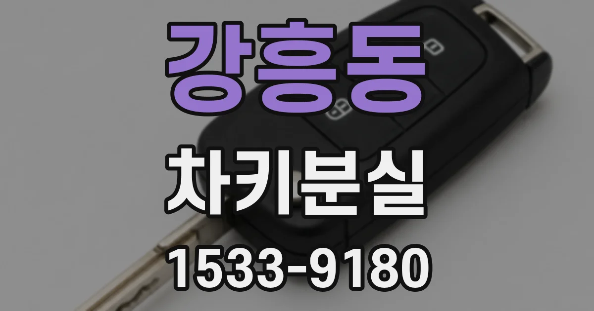 강흥동 차키분실