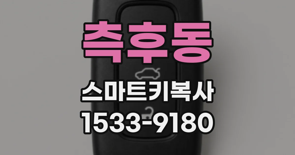 측후동 스마트키복사