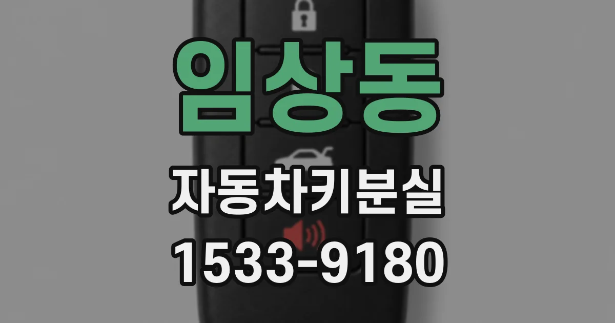 임상동 자동차키분실