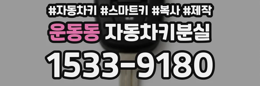 운동동 자동차키분실