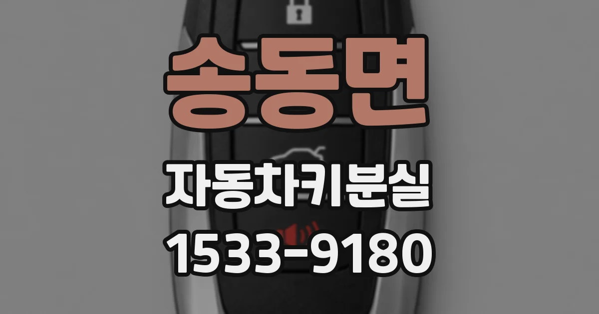 송동면 자동차키분실