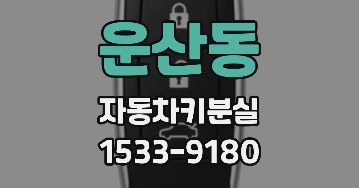 운산동 자동차키분실