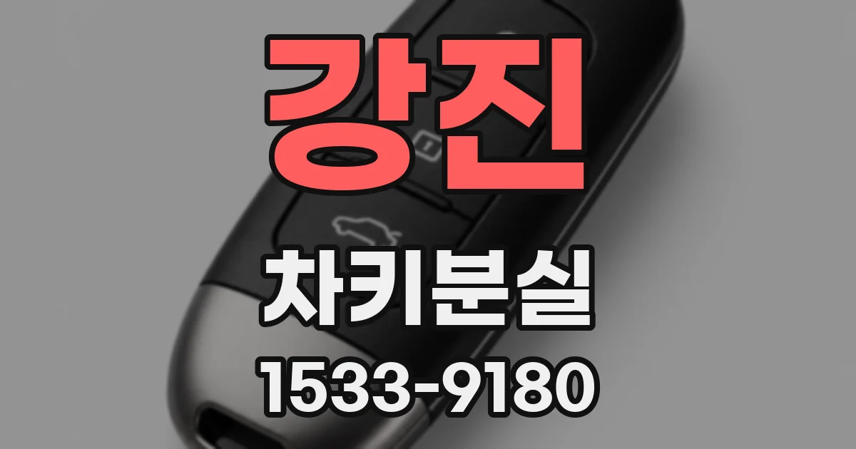 강진 차키분실