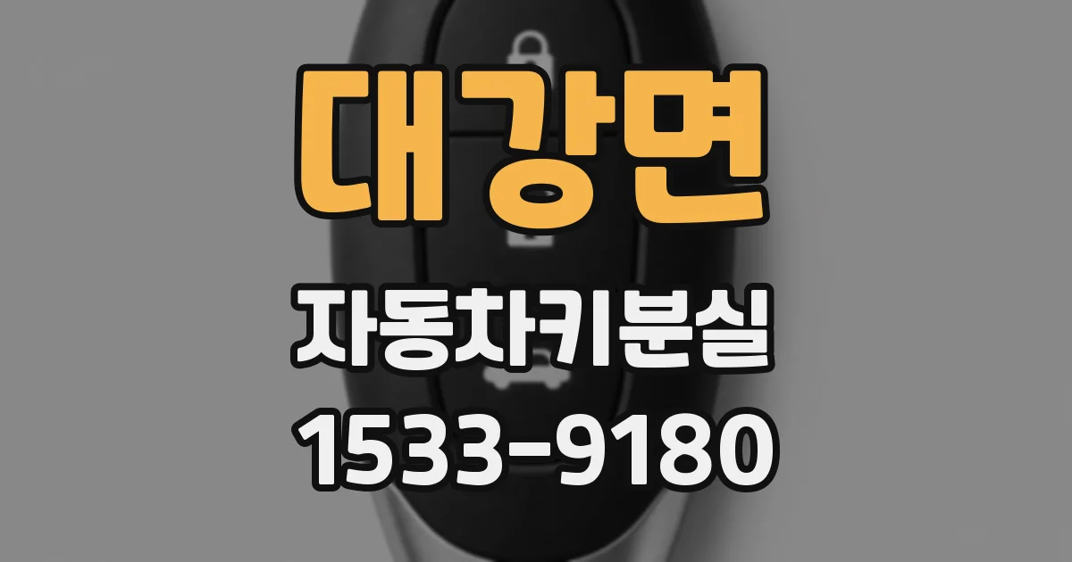 대강면 자동차키분실