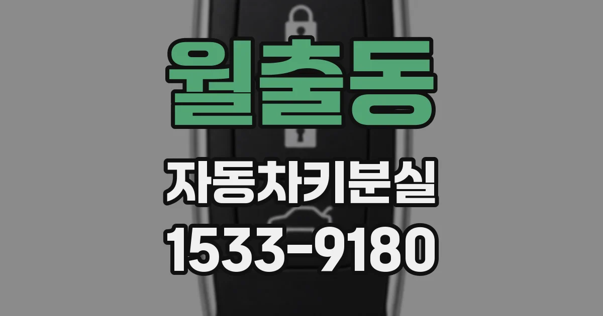 월출동 자동차키분실