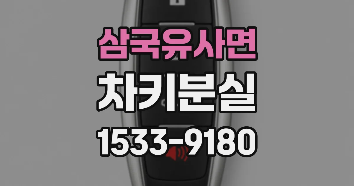 삼국유사면 차키분실