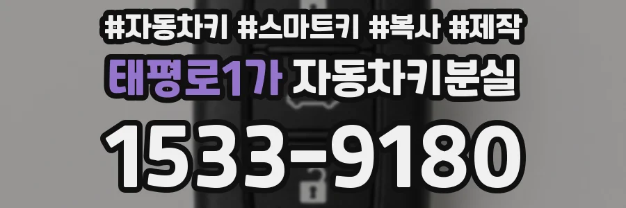 태평로1가 자동차키분실