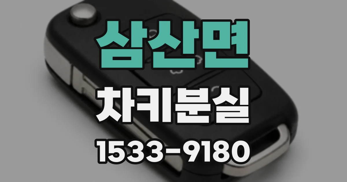 삼산면 차키분실