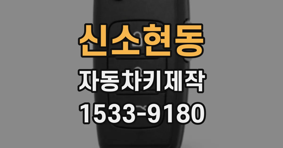 신소현동 자동차키제작