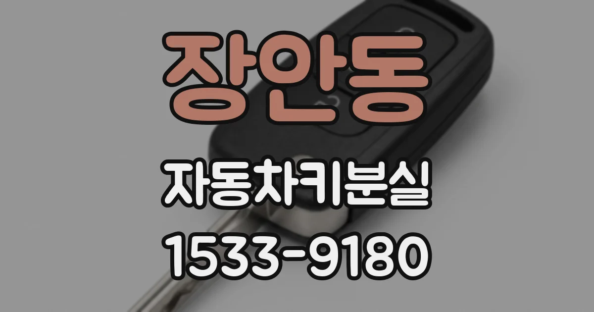 장안동 자동차키분실