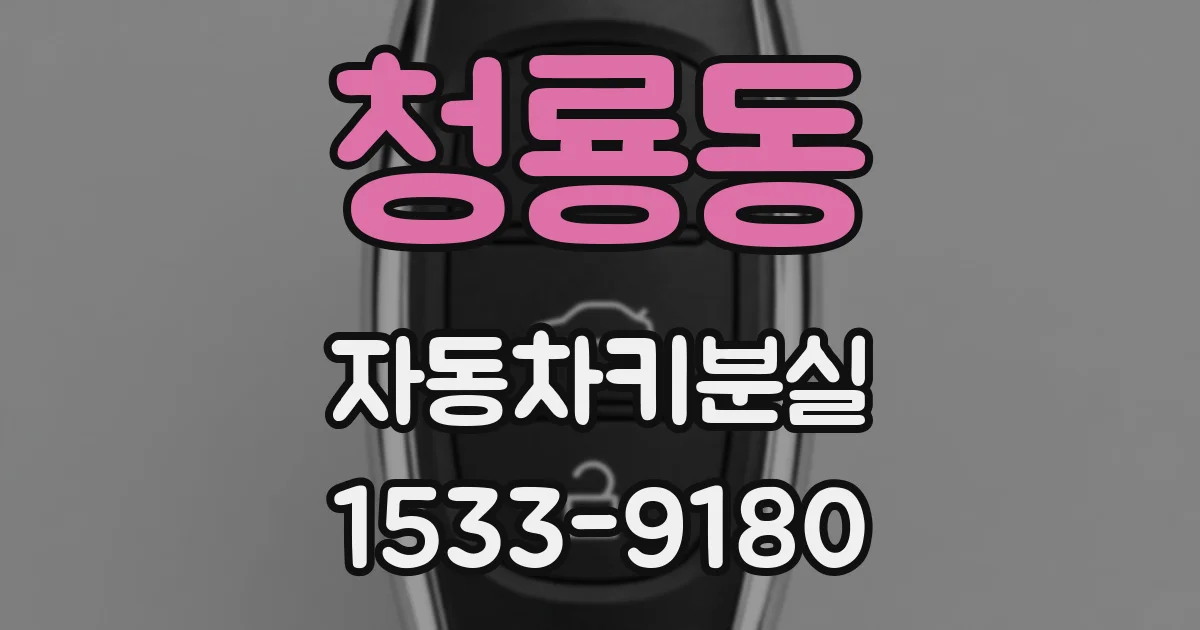 청룡동 자동차키분실