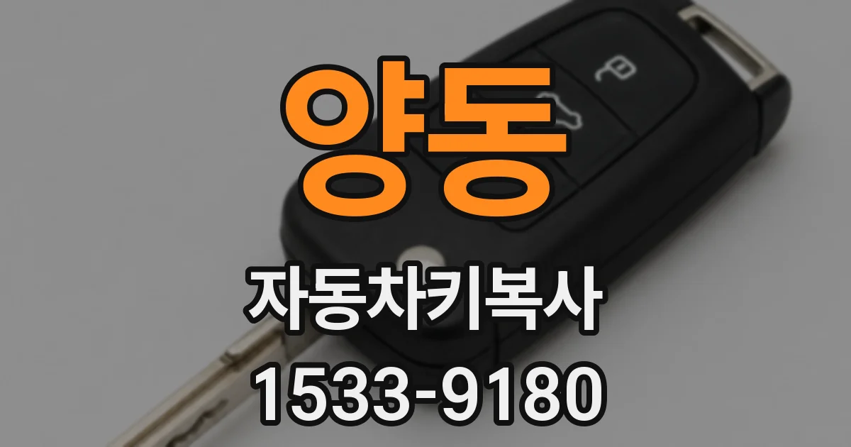 양동 자동차키복사