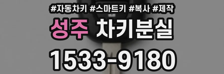 성주 차키분실