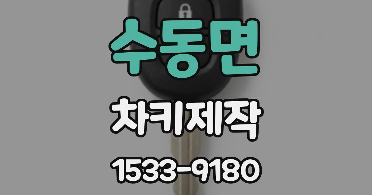 수동면 차키제작