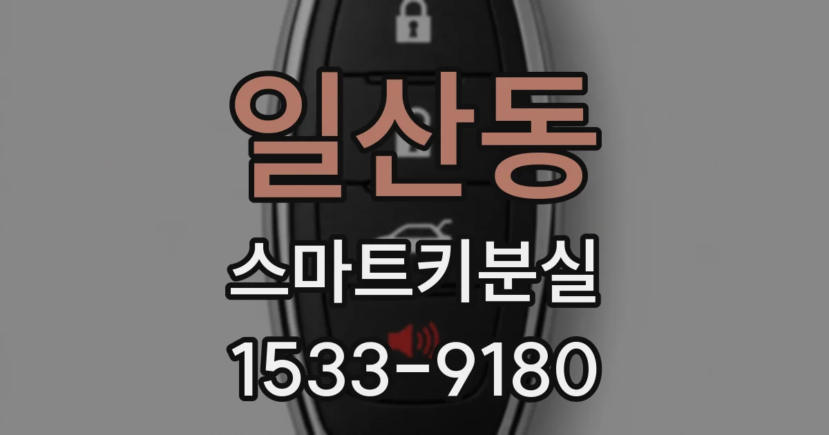 일산동 스마트키분실
