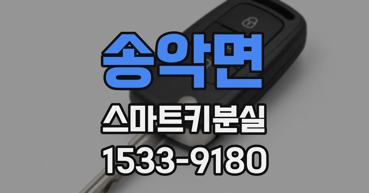 송악면 스마트키분실