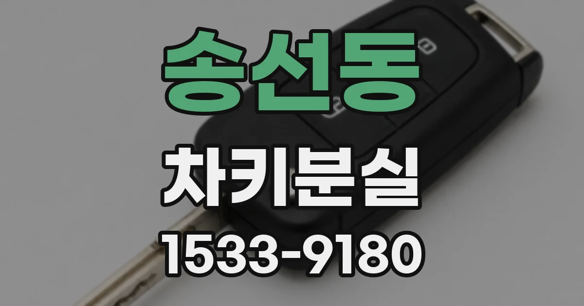 송선동 차키분실