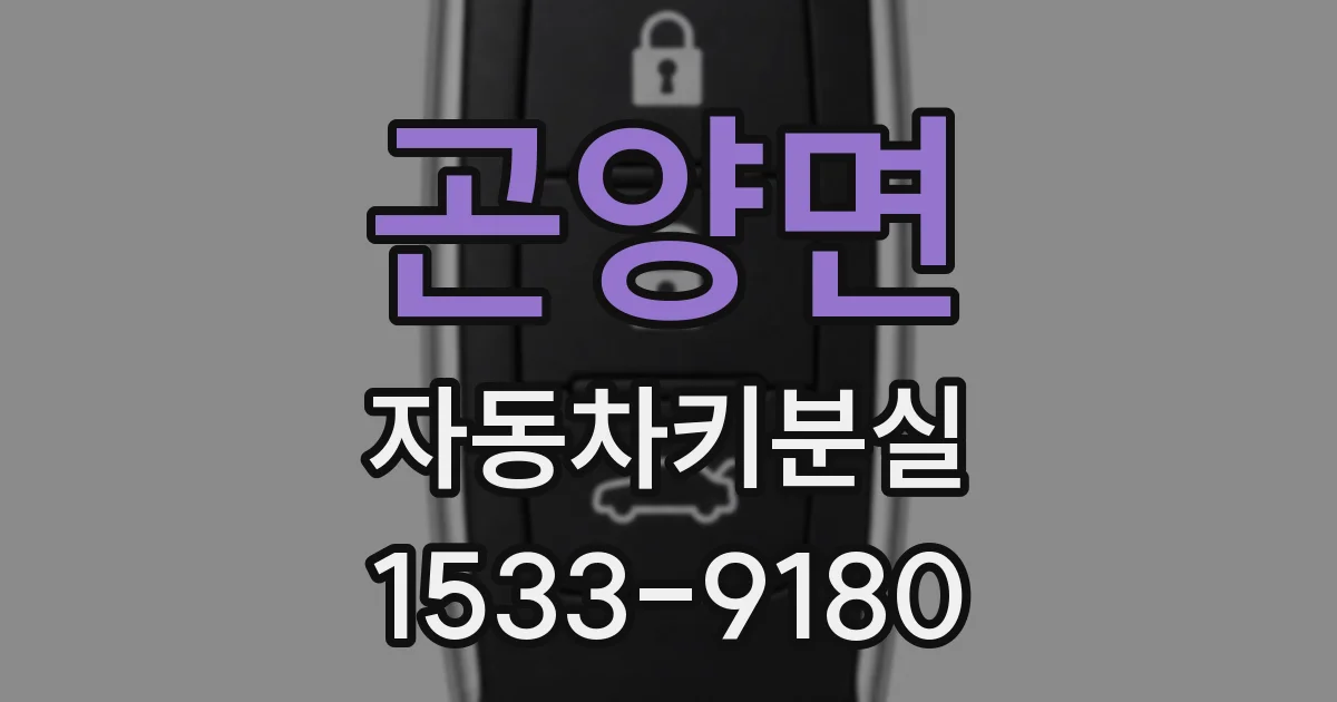 곤양면 자동차키분실
