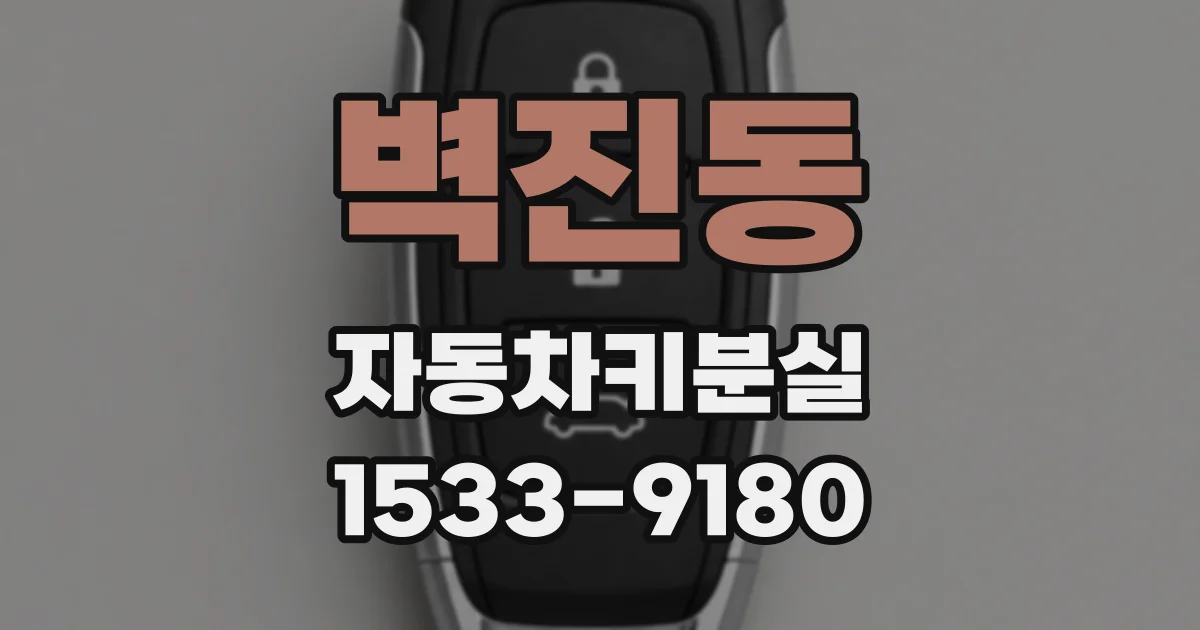 벽진동 자동차키분실