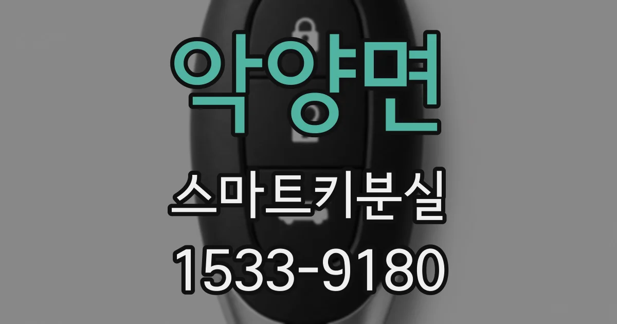 악양면 스마트키분실