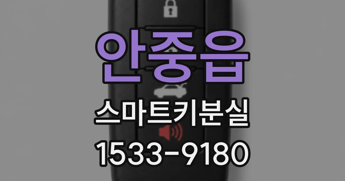 안중읍 스마트키분실