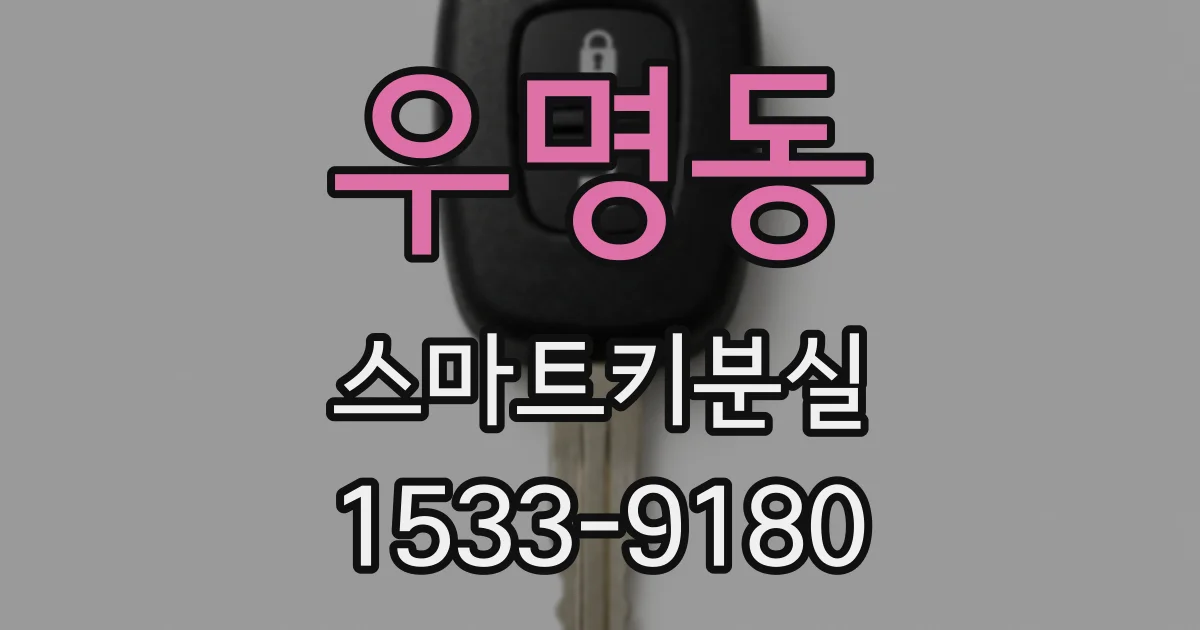 우명동 스마트키분실