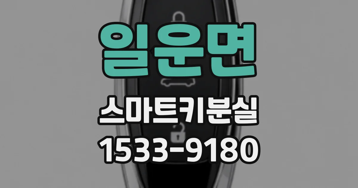 일운면 스마트키분실